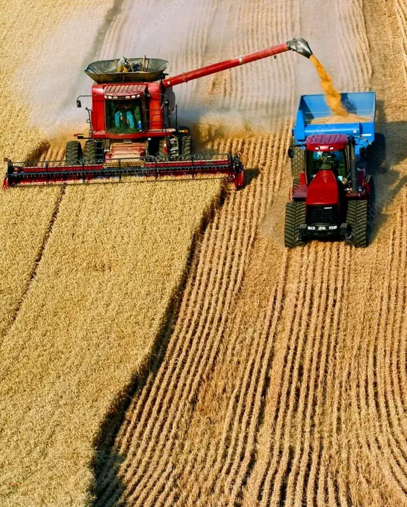 Agriculture